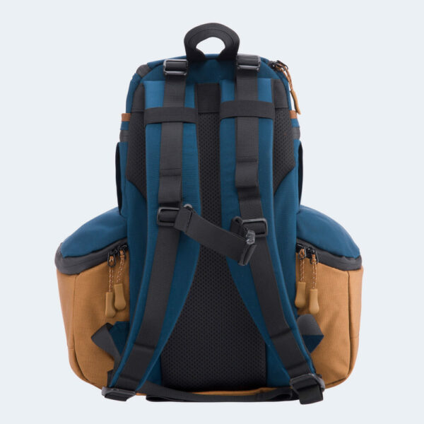 Prodigy Apex blau braun hinten
