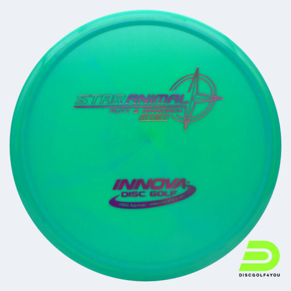 Innova Animal in turquoise, star plastic